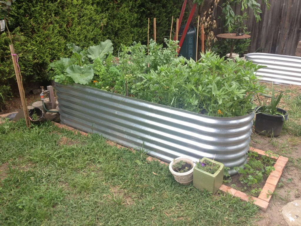 Corrugated Iron Garden Beds Geelong Raised Ballarat