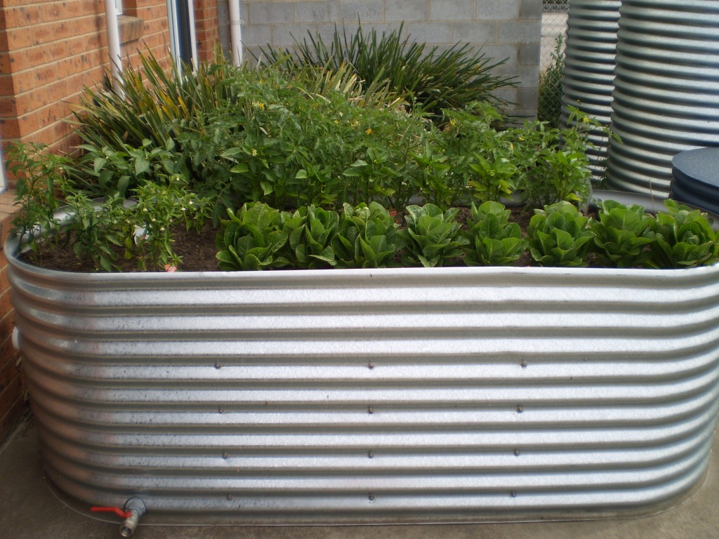 Corrugated Iron Garden Beds Geelong | Raised | Ballarat